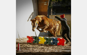 6a05aa1241f85_equifeelaffiche.jpg