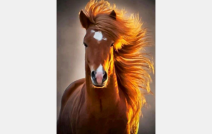 6a05aa842f983_bonneannee2026.png
