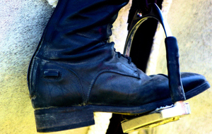 equitation10.jpg