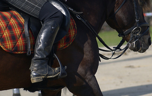 equitation4.jpg